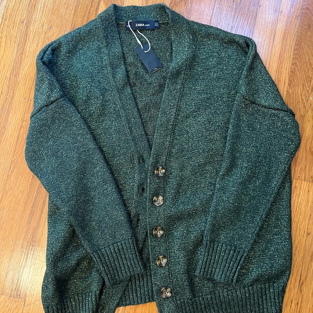 Zara Knit Metallic Cardigan Sweater
